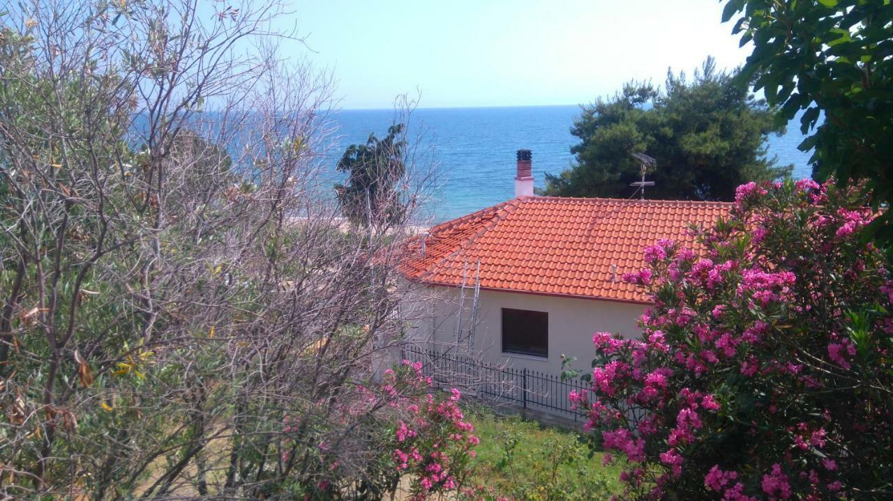 Maisonette Close To The Beach Nikiti  Zewnętrze zdjęcie